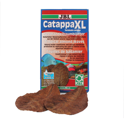 CatappaXL [열대 아몬드 잎 성분이 함유된 수질 안정제] 2장 (소포장판매)